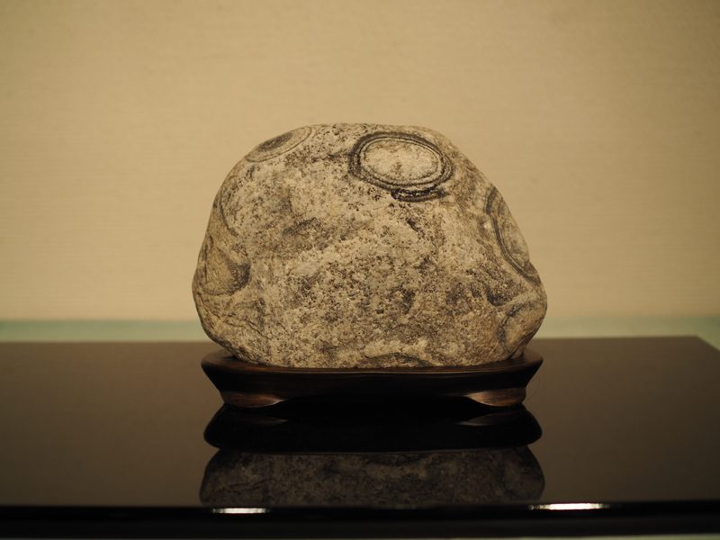 加茂川石
